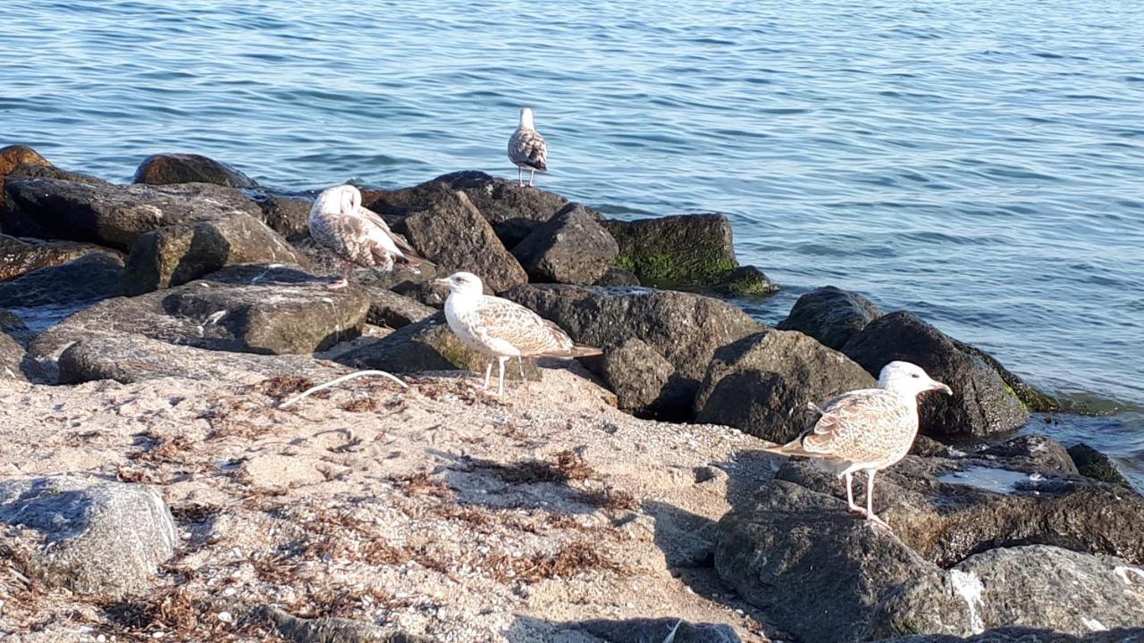 Dachgeschosswohnung Mit Seeblick Ahrensbok 外观 照片
